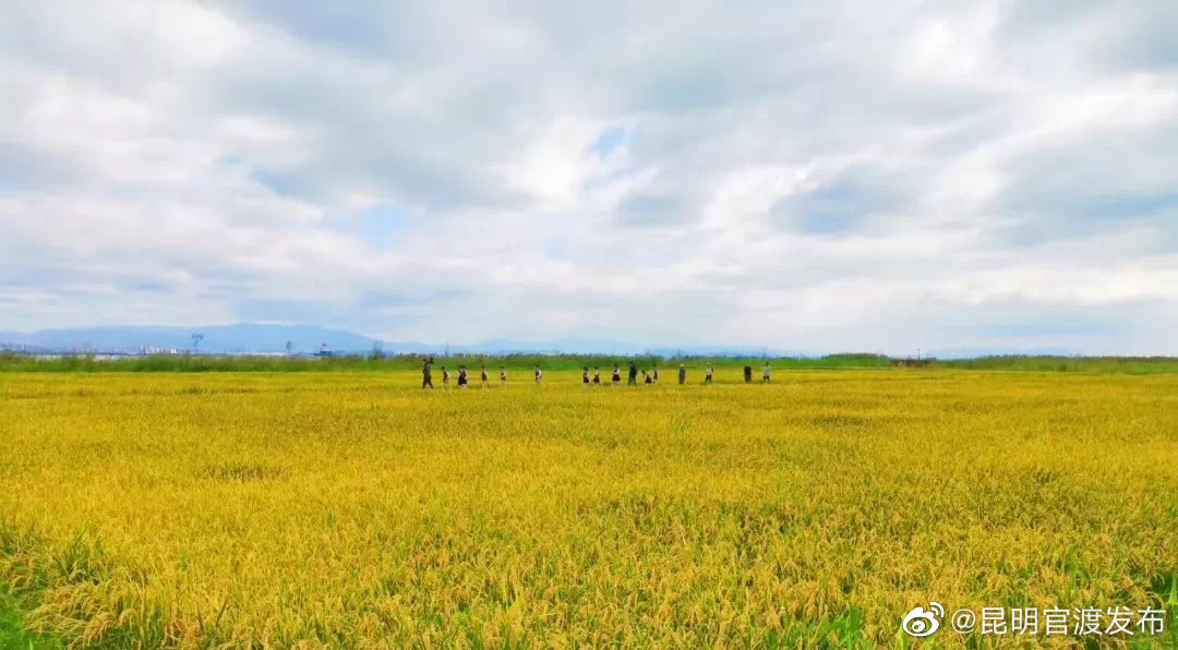 “昆明官渡发布”微博