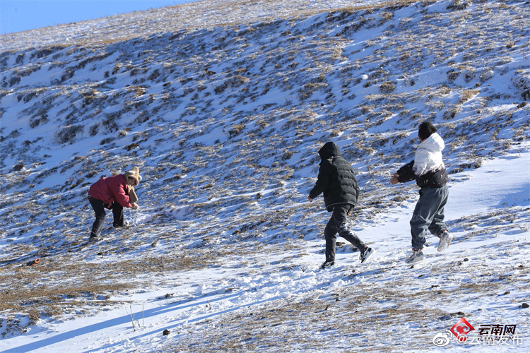 “云南发布”微博