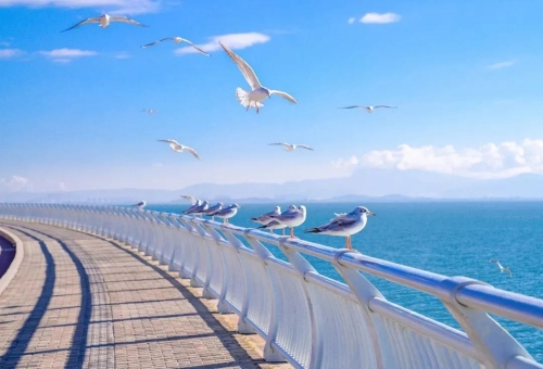 昆明市文化和旅游局