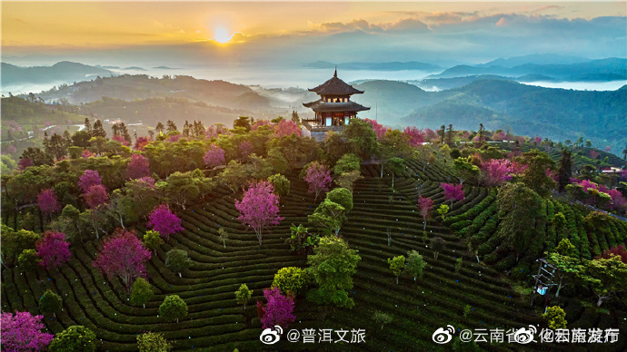 “云南发布”微博