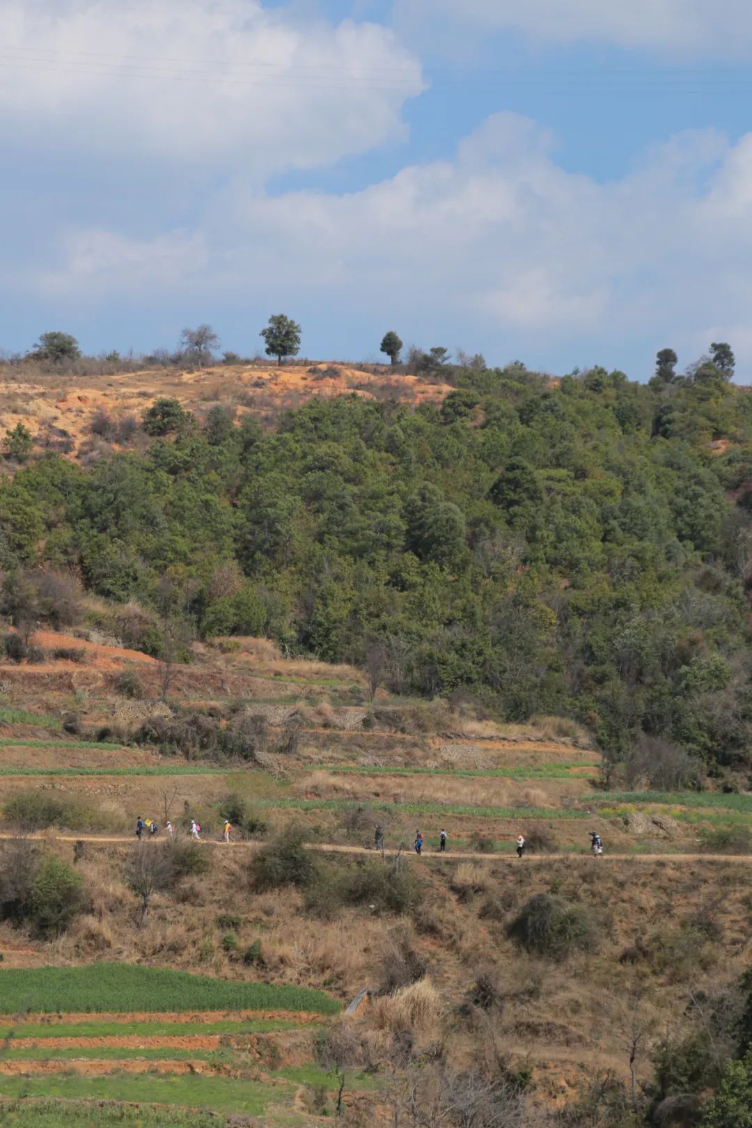 一部手机游云南