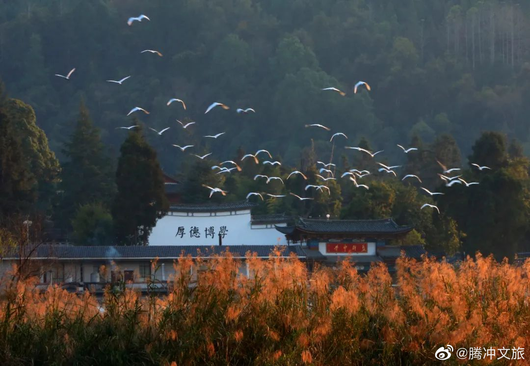 腾冲文旅微博