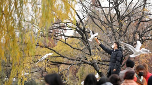 昆明市文化和旅游局