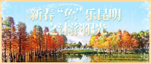 昆明市文化和旅游局