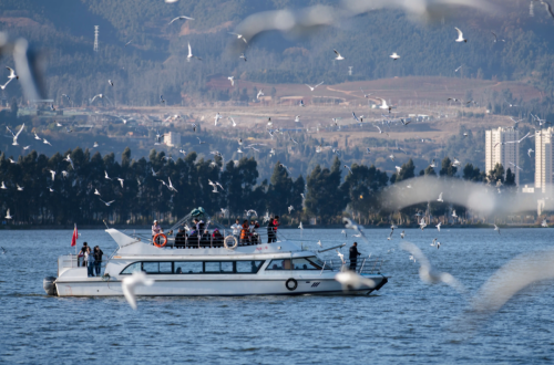 昆明市文化和旅游局