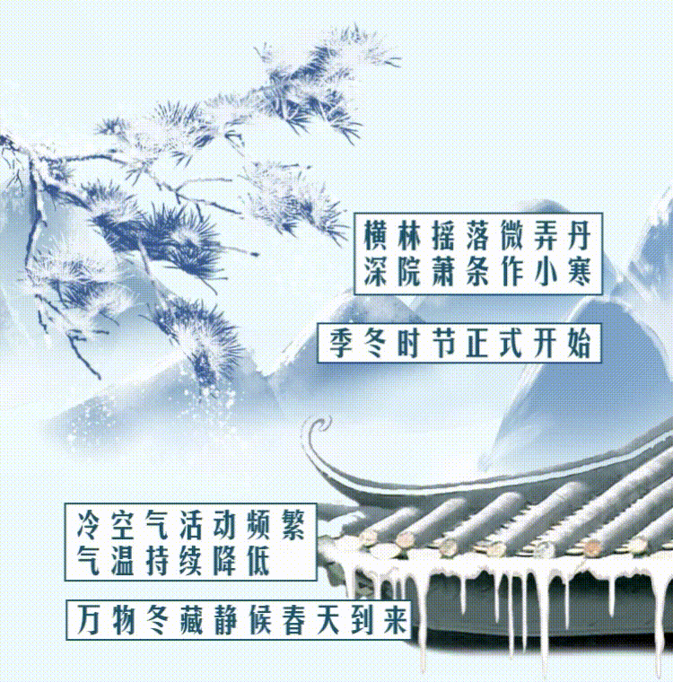 云南省人民政府网