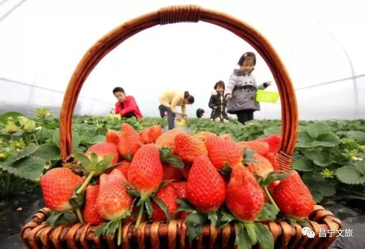 保山广播电视台