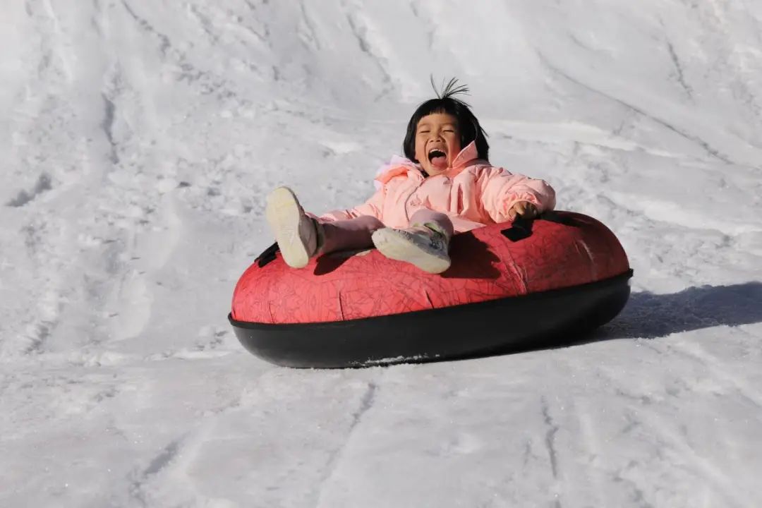 昆明轿子山旅游