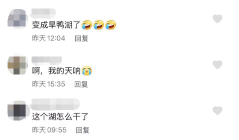 昆明信息港/cnkmxxg