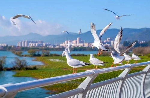 昆明市文化和旅游局