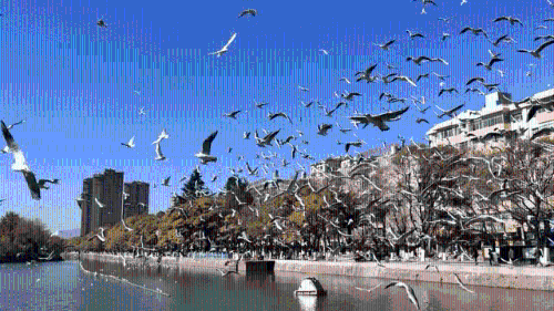 昆明市文化和旅游局