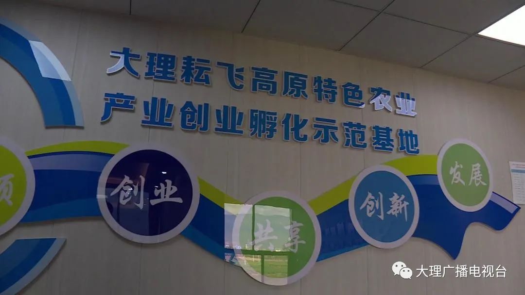 大理电视台