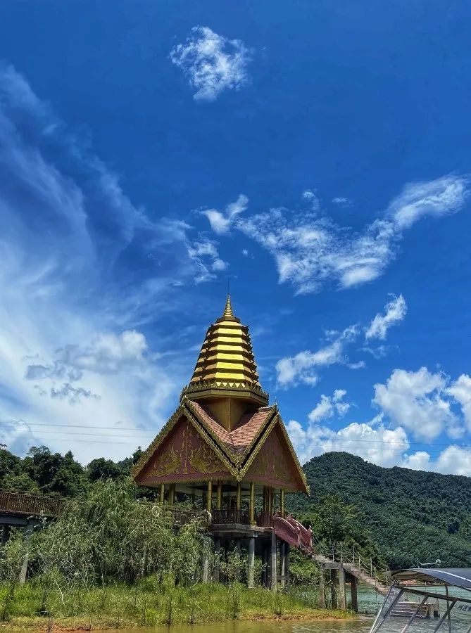 西双版纳望天树景区
