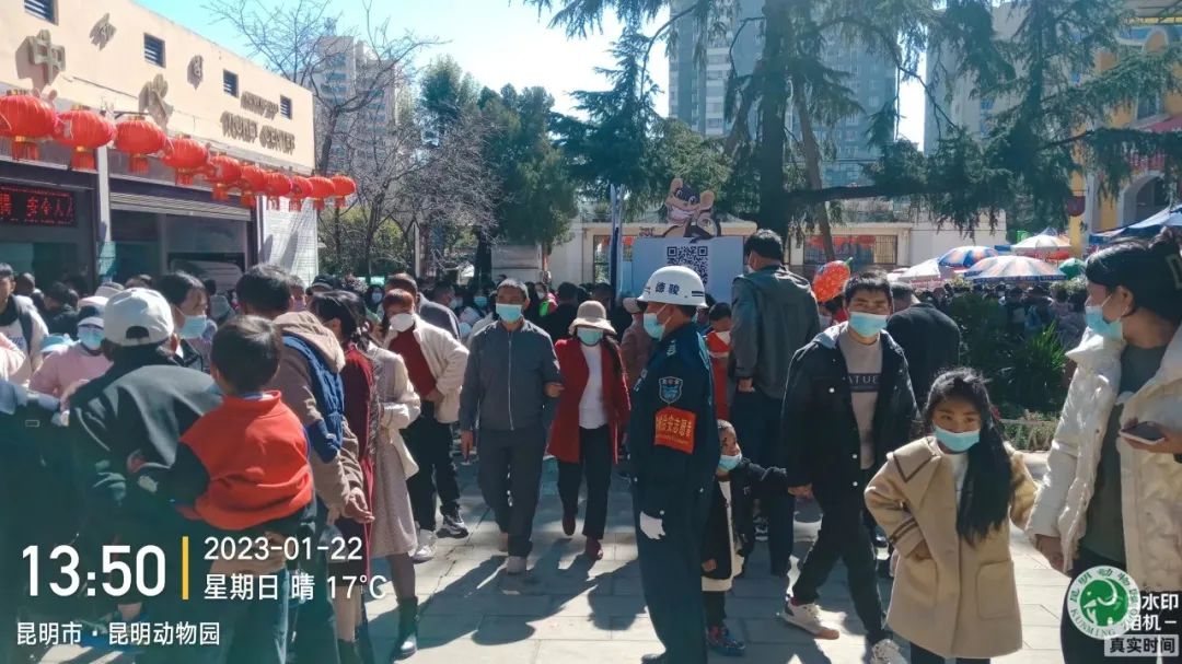 昆明动物园