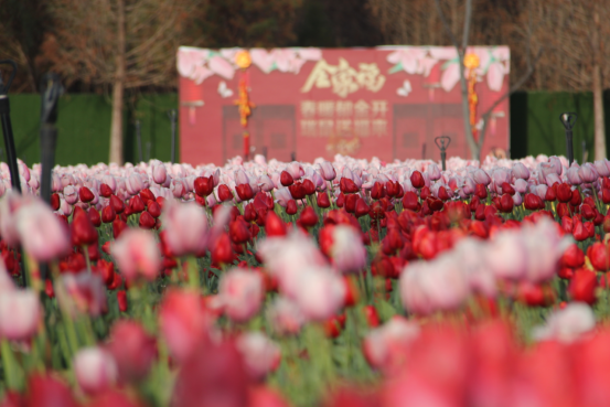 昆明文旅