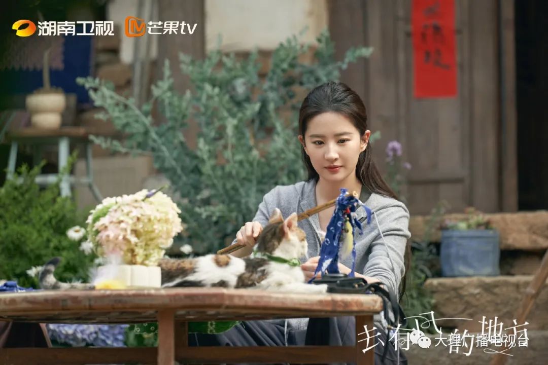 大理电视台