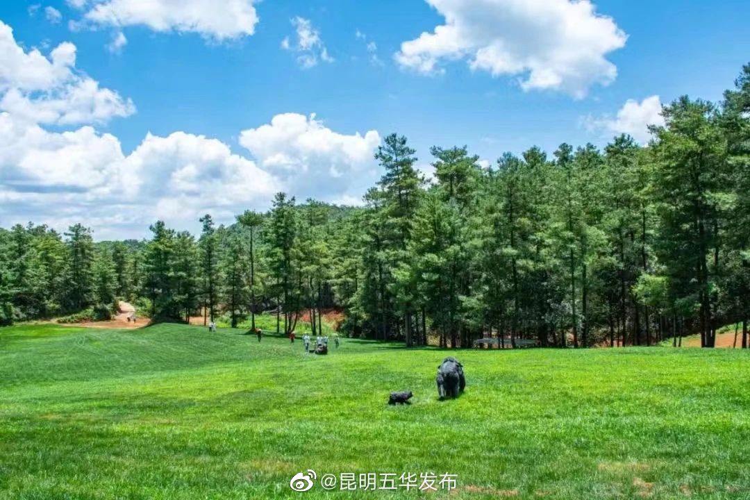 昆明五华发布