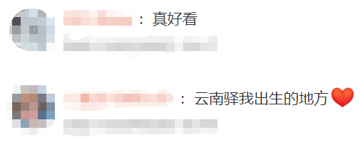 掌上春城