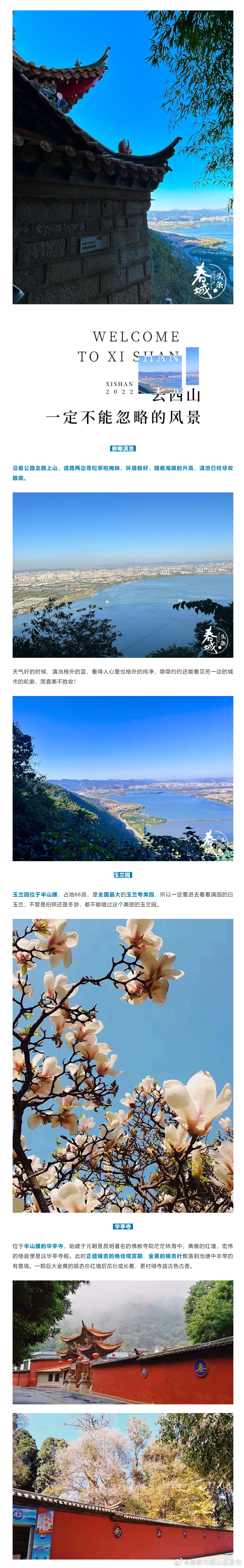 昆明市西山区发布