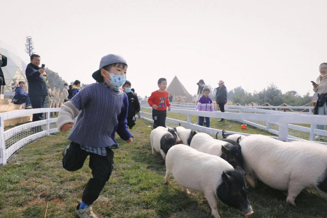 昆明阳宗海风景名胜区