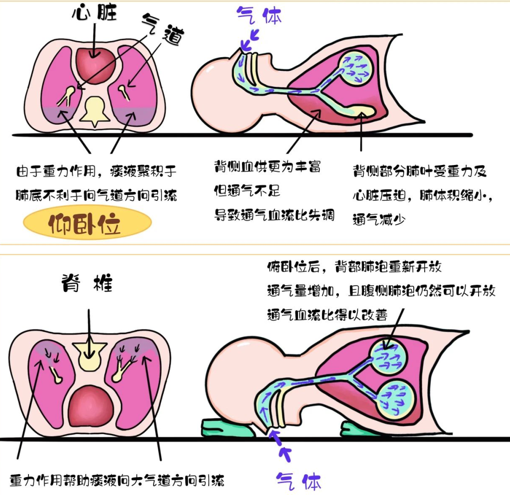 云南省中医医院