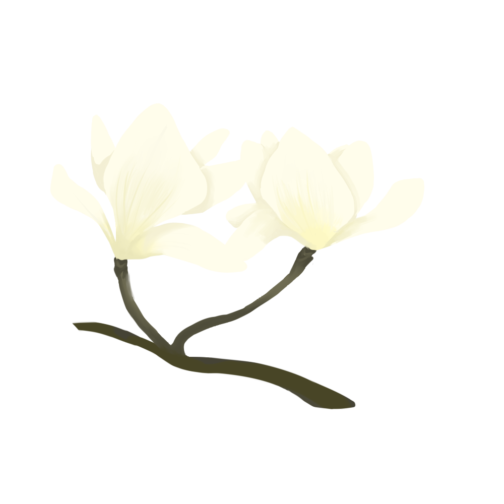 微观盘龙