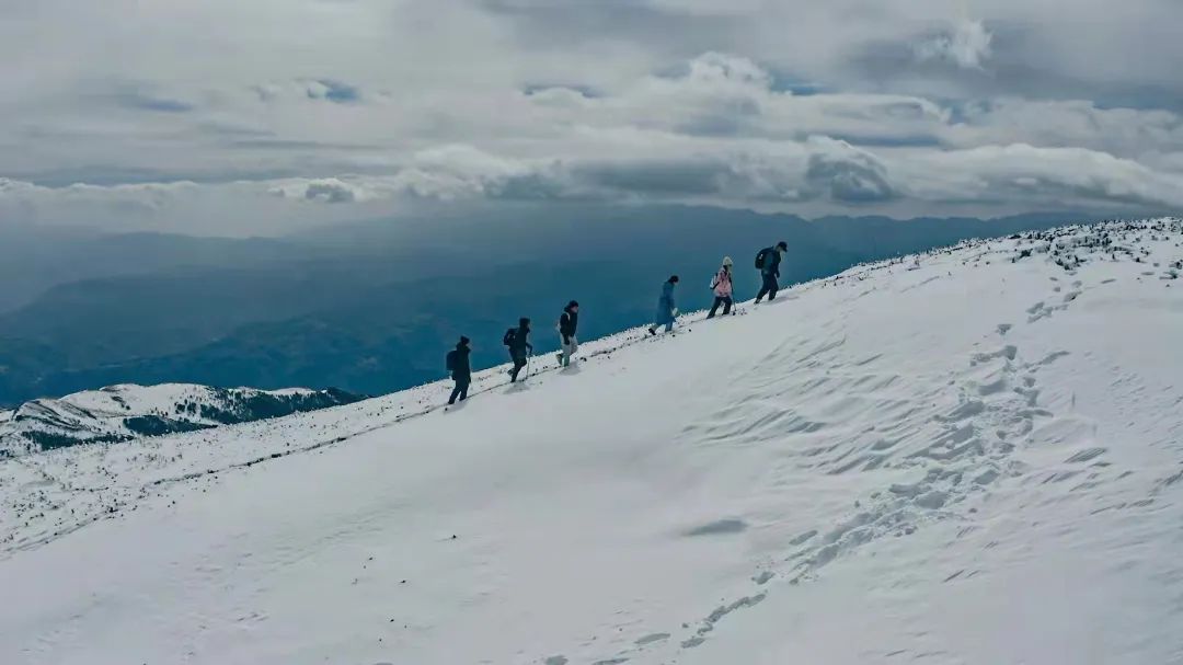 保山新闻网