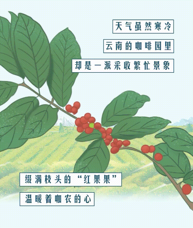 云南省人民政府网