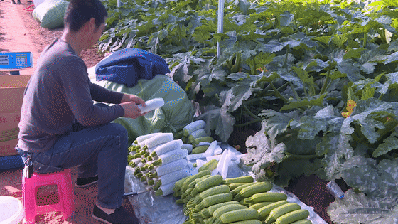 “昆明官渡发布”微博