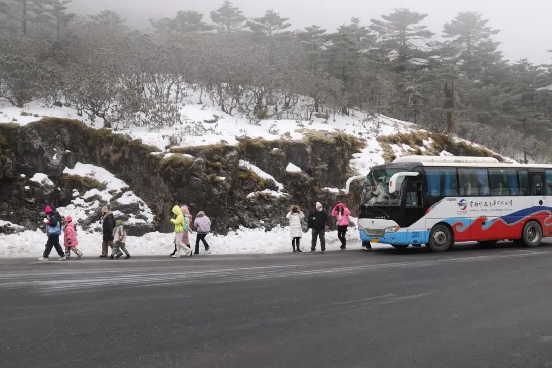 昆明轿子山旅游