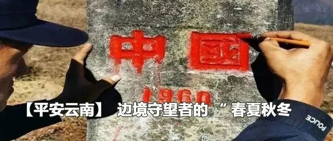 云南政法