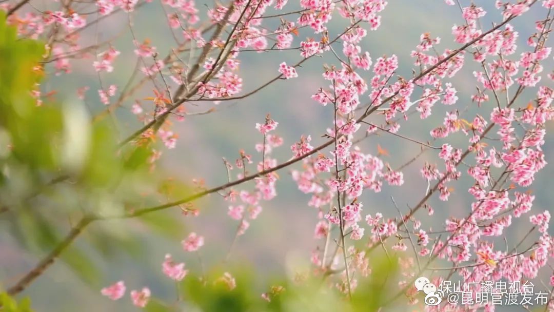 “昆明官渡发布”微博