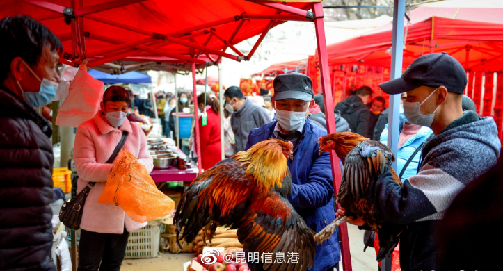 昆明信息港（微博）