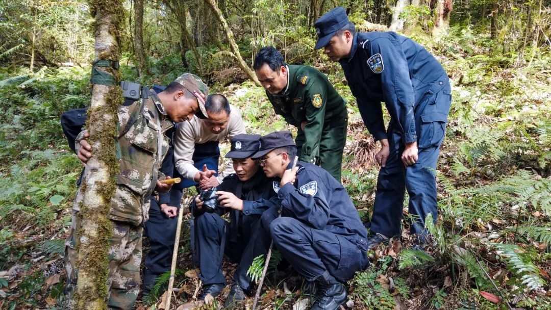 云南警方