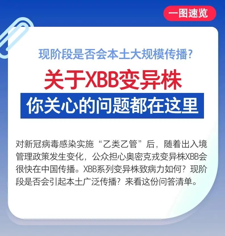 微观盘龙
