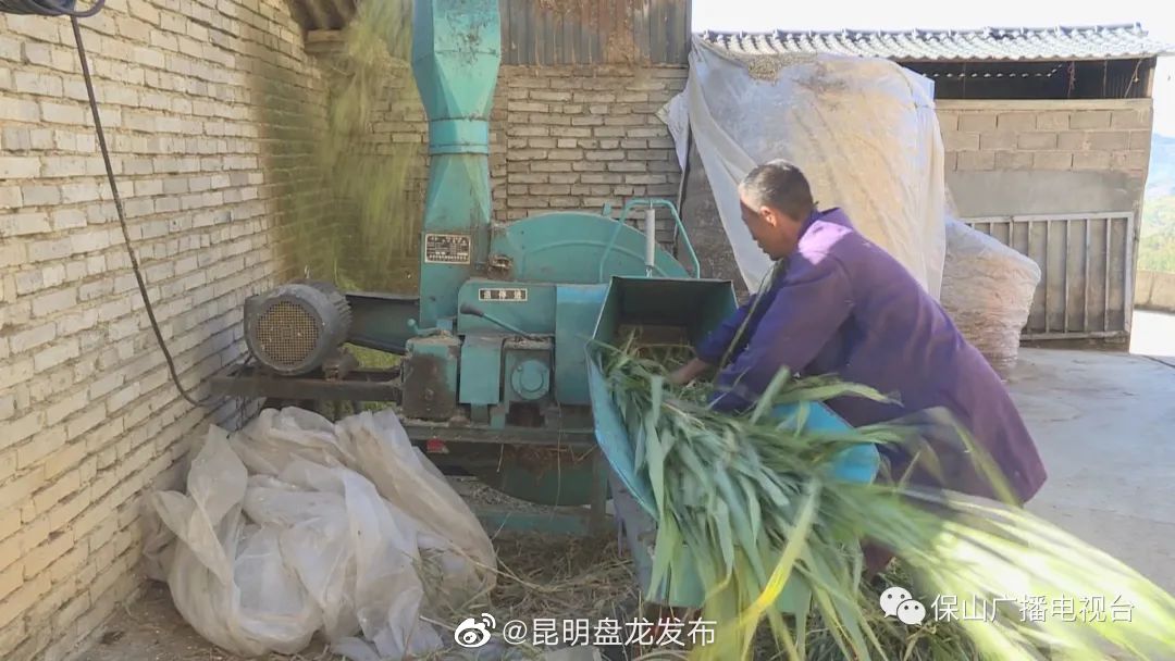 在希望的田野上 | 隆阳区瓦房乡：肉牛养殖拓宽村民致富路