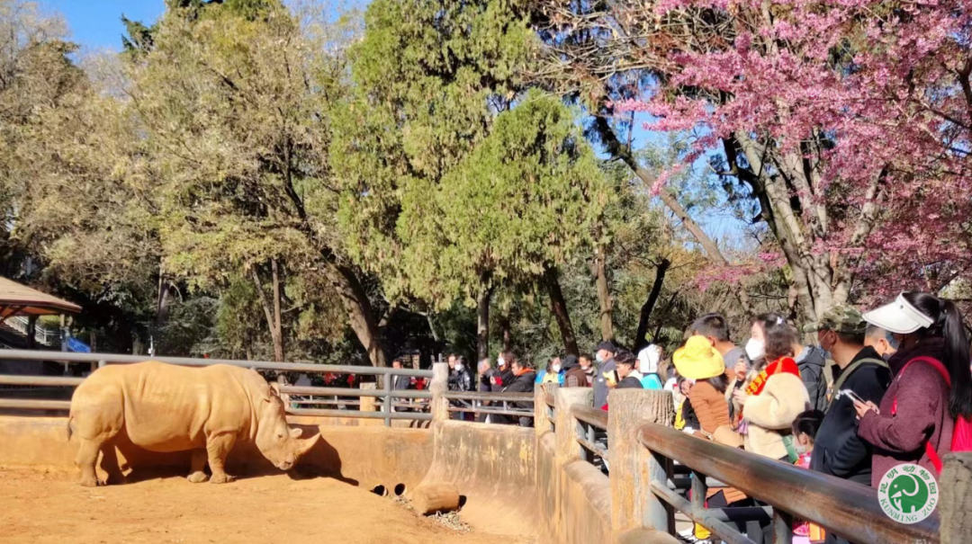 昆明动物园