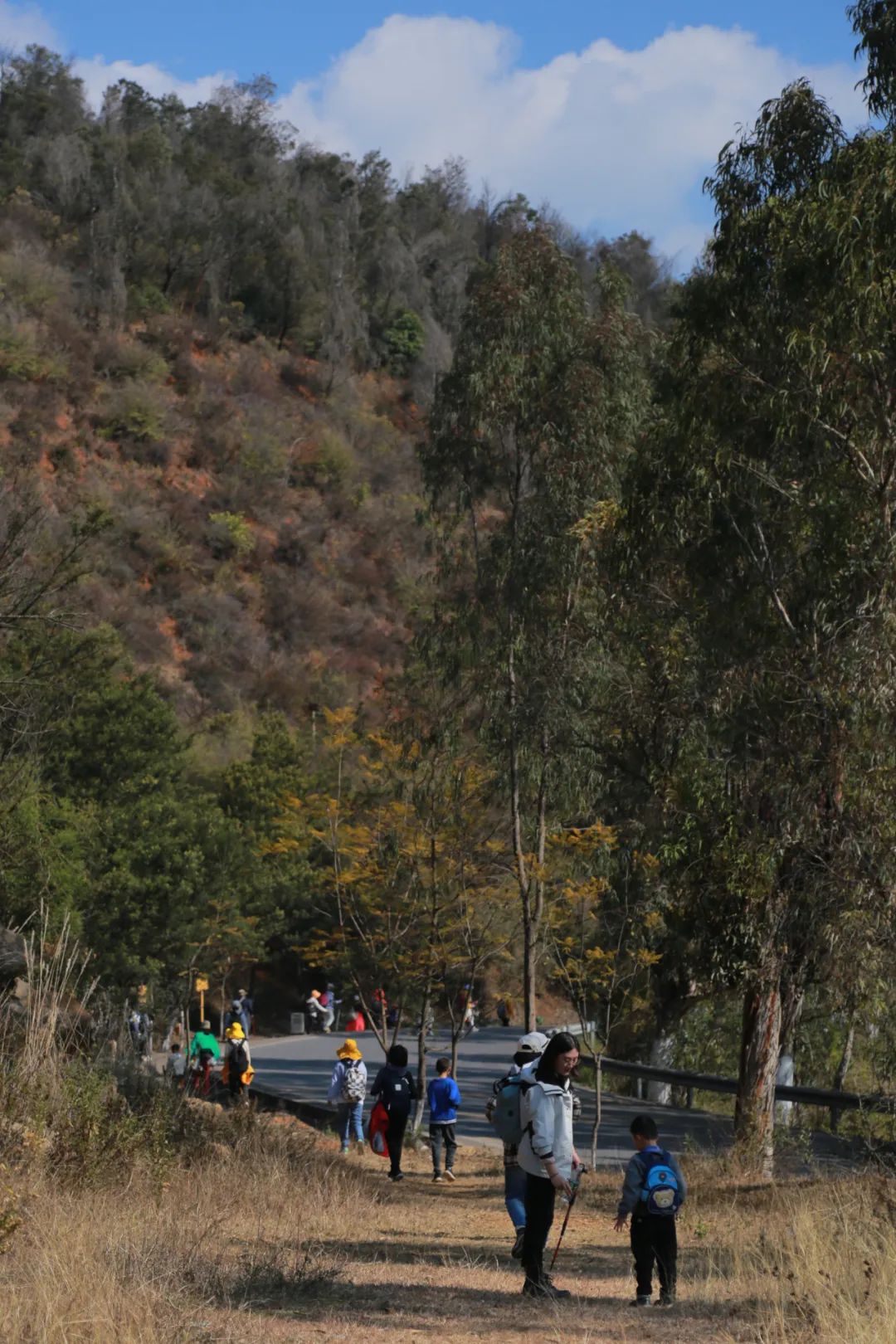 一部手机游云南