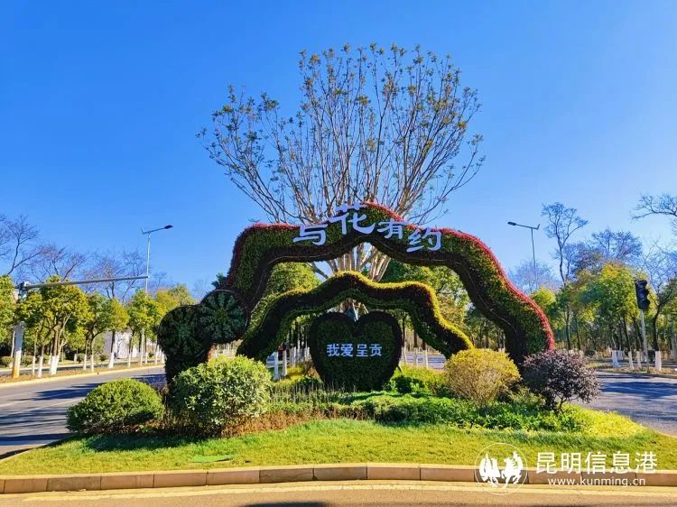 呈贡发布