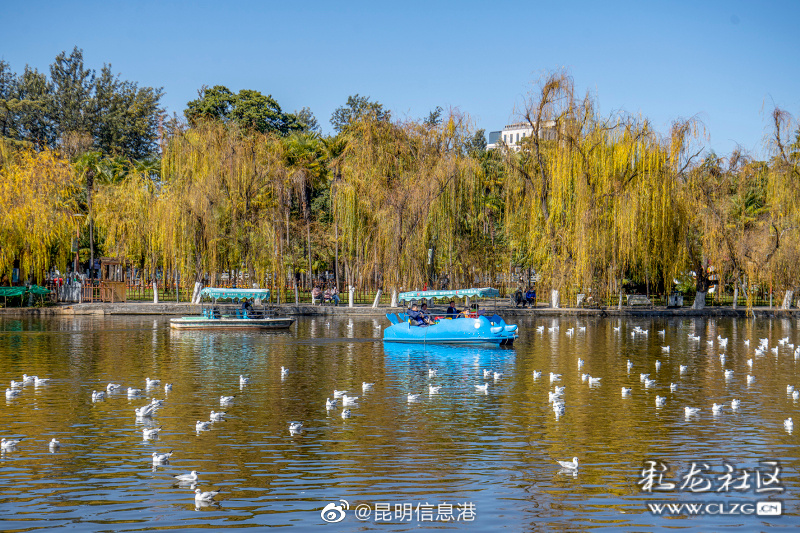 昆明信息港（微博）