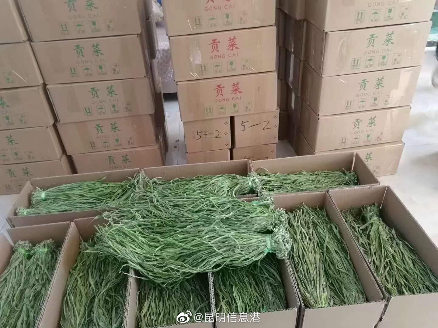 昆明信息港（微博）