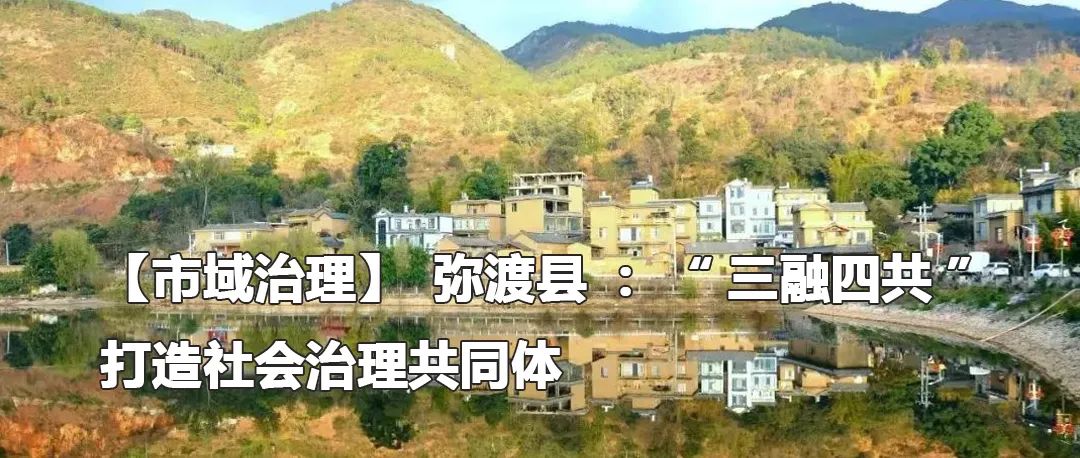 云南政法