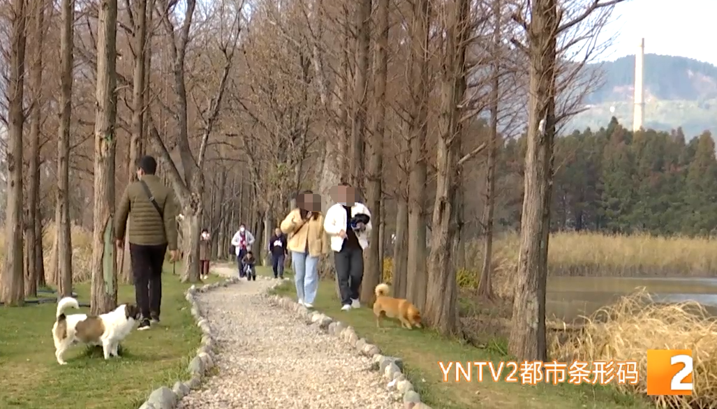 掌上春城