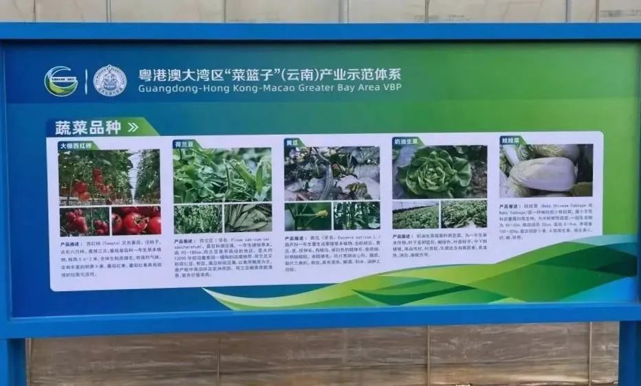 昆明阳宗海风景名胜区