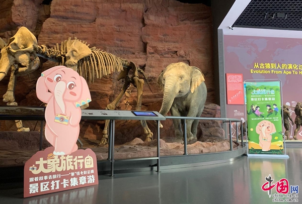 新华网云南频道