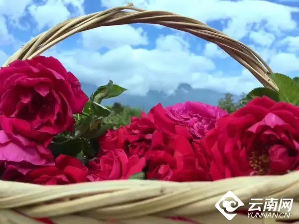 云南广播电视台
