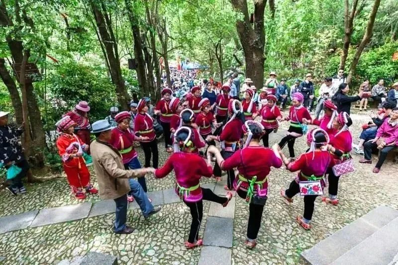 大理日报