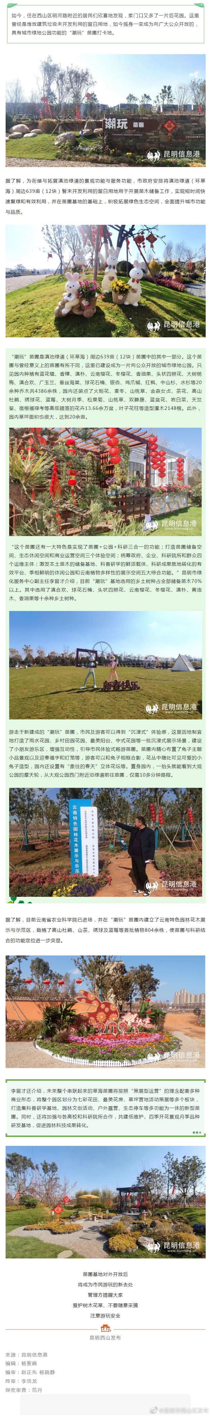 滇池绿道周边12块荒地变身城市绿地 “潮玩”苗圃