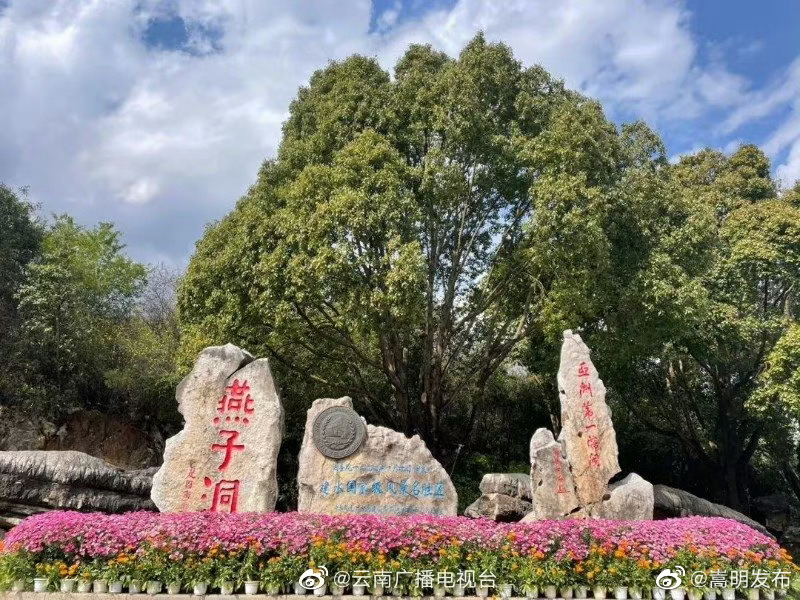 嵩明发布