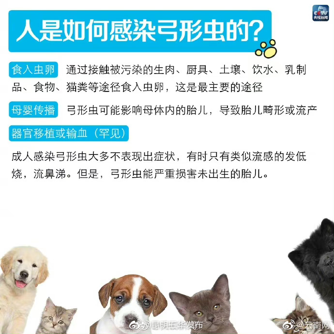 昆明五华发布